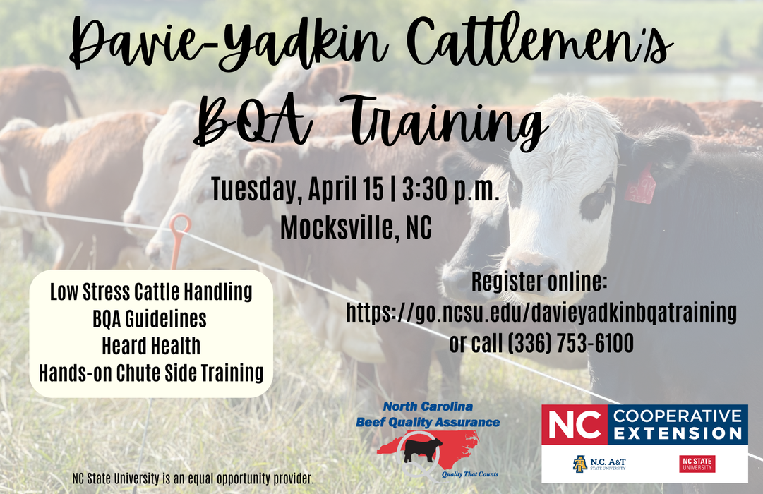 Davie-Yadkin Cattlemen's BQA Training flyer
