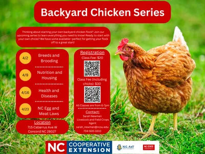 Backyard Chicken Series; dates 4/2–4/23 (4 sessions); location 715 Cabarrus Ave W, Concord NC