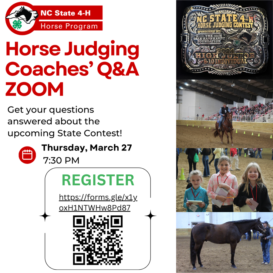 NC State 4‑H Horse Judging Coaches' Q&A ZOOM; Thursday, March 27, 7:30 PM; REGISTER