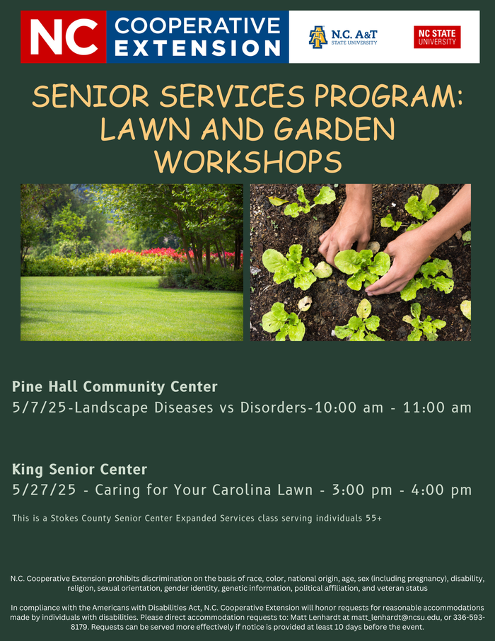 Senior Services Program Flyer.