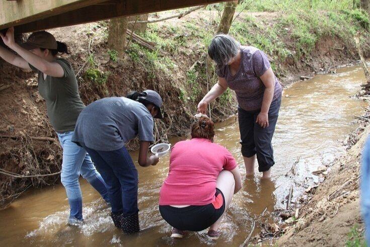 Four people wading in a shallow creek collecting water and aquatic samples with a net