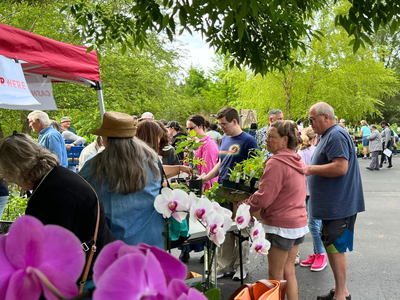 Spring Garden Festival flyer featuring photo of past event with customers shopping for plants!