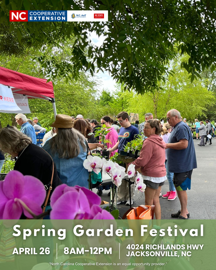Spring Garden Festival flyer featuring photo of past event with customers shopping for plants!