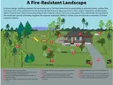 This image describes what all to consider when thinking about fire-wise landscaping
