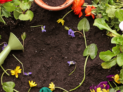 Green watering can labeled "PLANTS" and assorted potted flowers arranged on potting soil