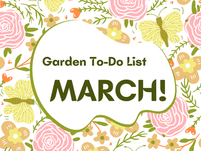 March Gardening
