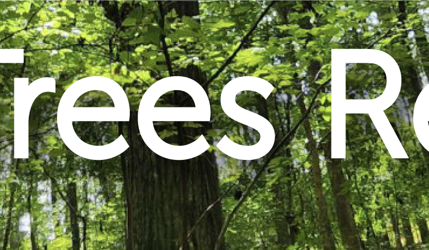 Tree Restry Urban Forestry - Union County Center | N.C. Cooperative Extension