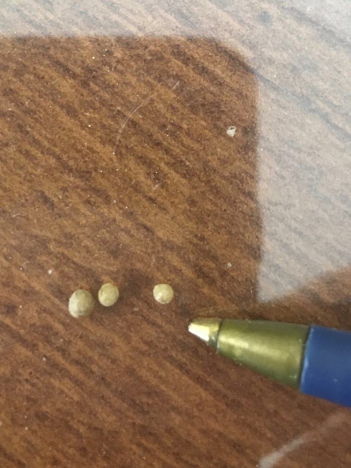 Ground pearl size