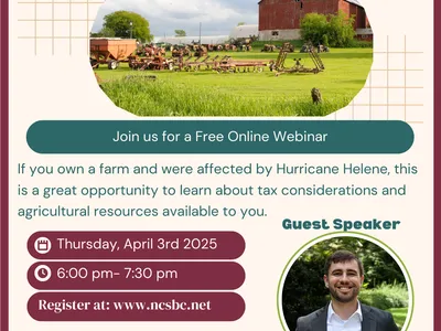 Flyer for Helene Tax Webinar