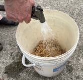 Water a Bucket of Straw