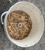 Add Mosquito Dunk to Bucket