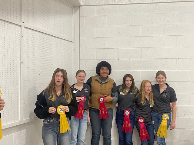 A group of 4-hers display ribbons they won.