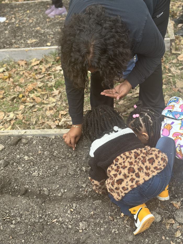 Children help plant seeds in a garden.
