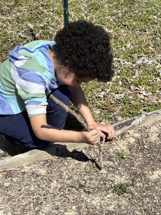 Child kneeling outdoors using a stick to dig in dirt near a wooden border