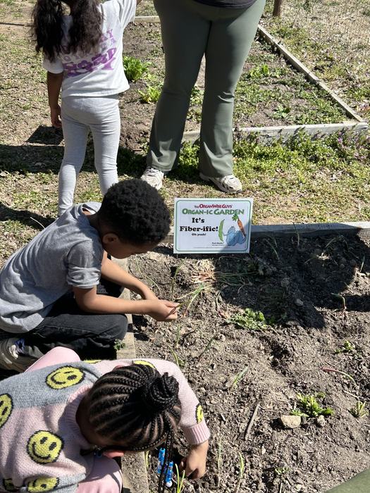 Children gardening beside sign reading "Organ-ic Garden: It's Fiber-ific!"