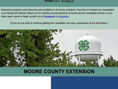 March 2025 Newsletter