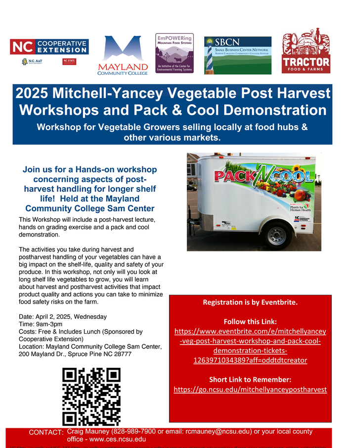 Mitchell-Yancey workshop flyer