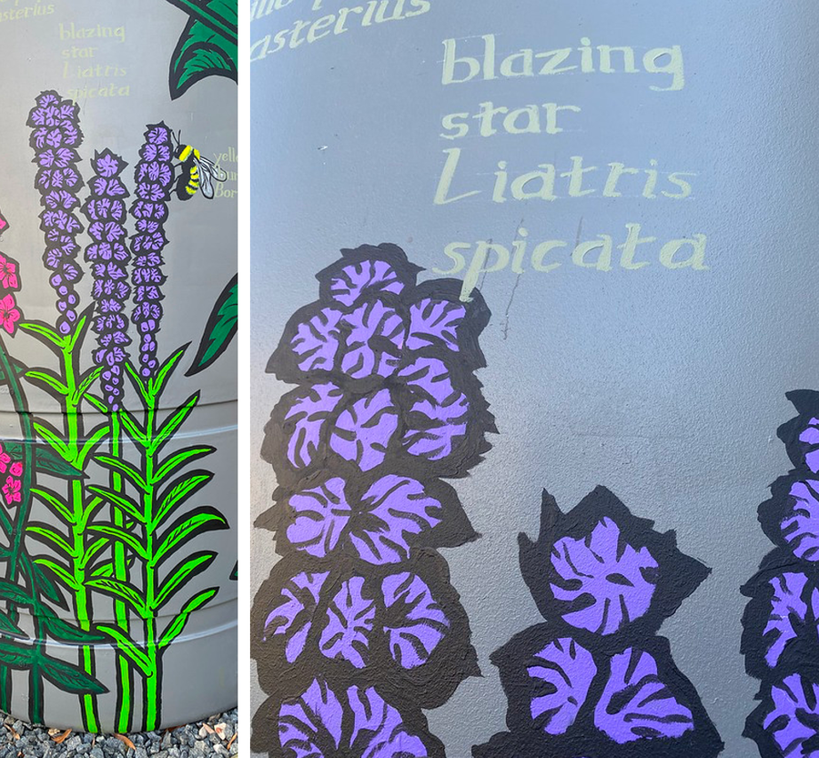 blazing star cistern paintings