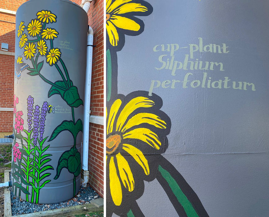 cup-plant cistern paintings