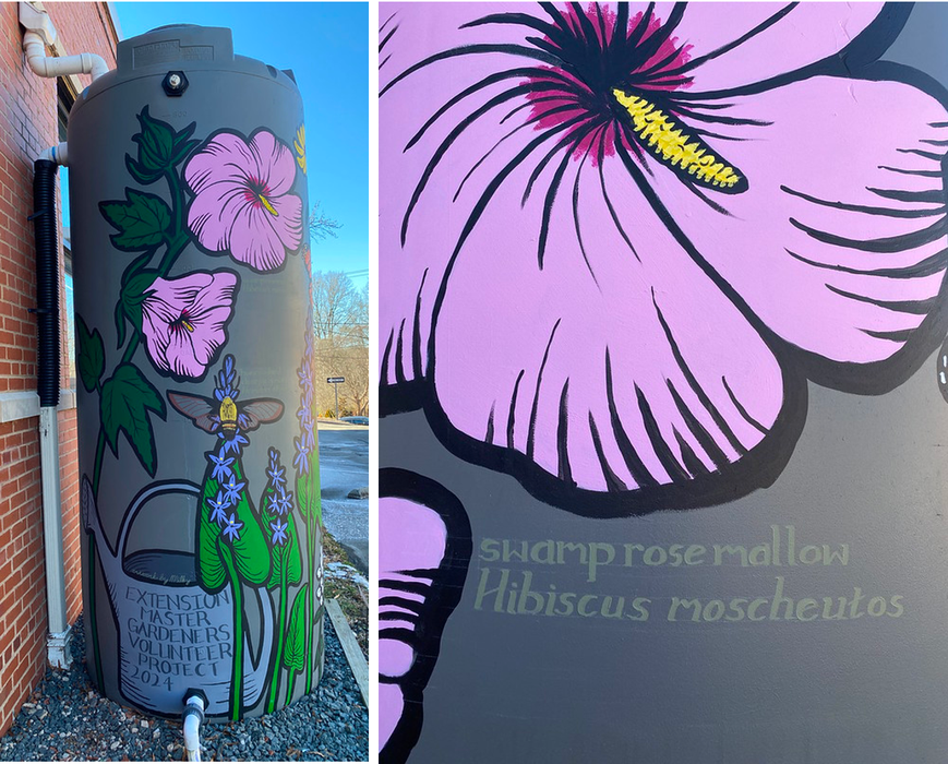 swamp rosemallow cistern paintings