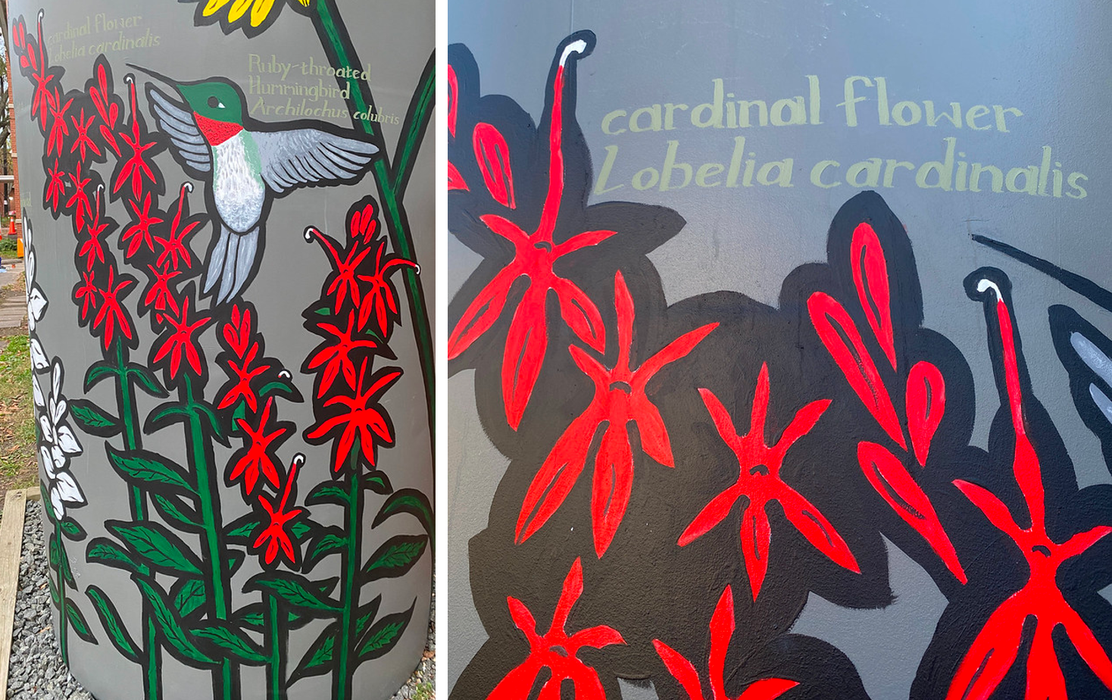 cardinal flower cistern paintings