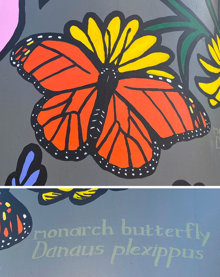 monarch cistern paintings