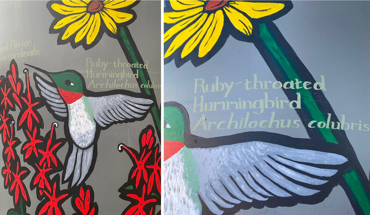 Ruby-throated clearwing moth cistern paintings