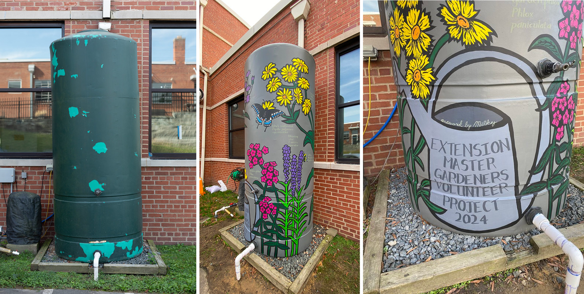 Before and after pictures of the cisterns on the north side of the Extension Building at 721 Foster Street, and acknowledgement of Dave Milkereit (Milky), the artist for this project and the Master Gardener volunteers who worked on this cistern redesign project. 