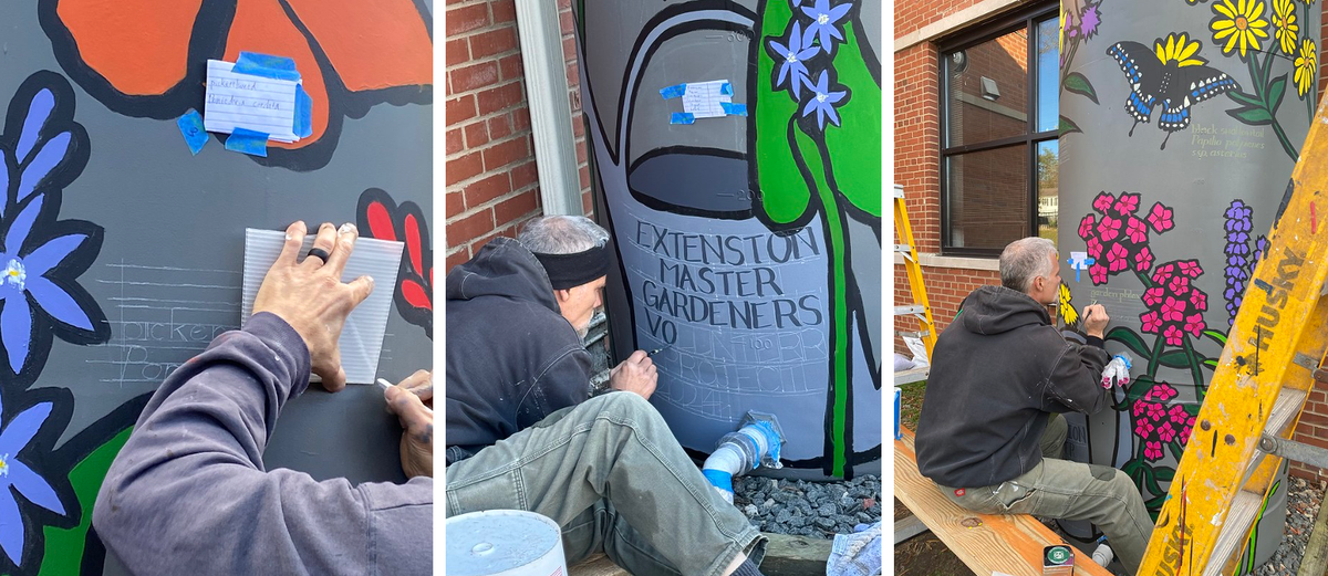 Dave hand lettering all of the scientific and common names