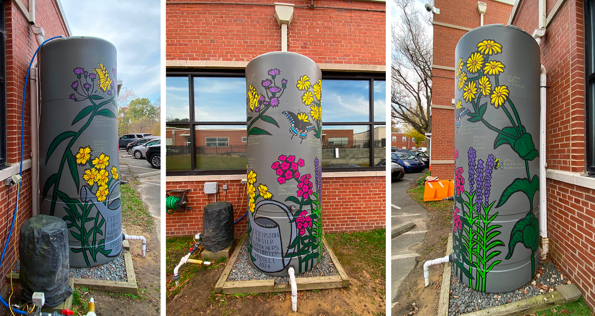 final pictures of the prairie plant cistern