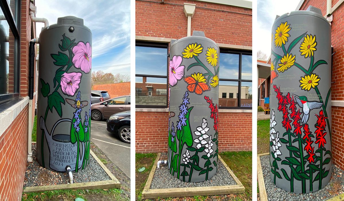 final pictures of the marsh plant cistern