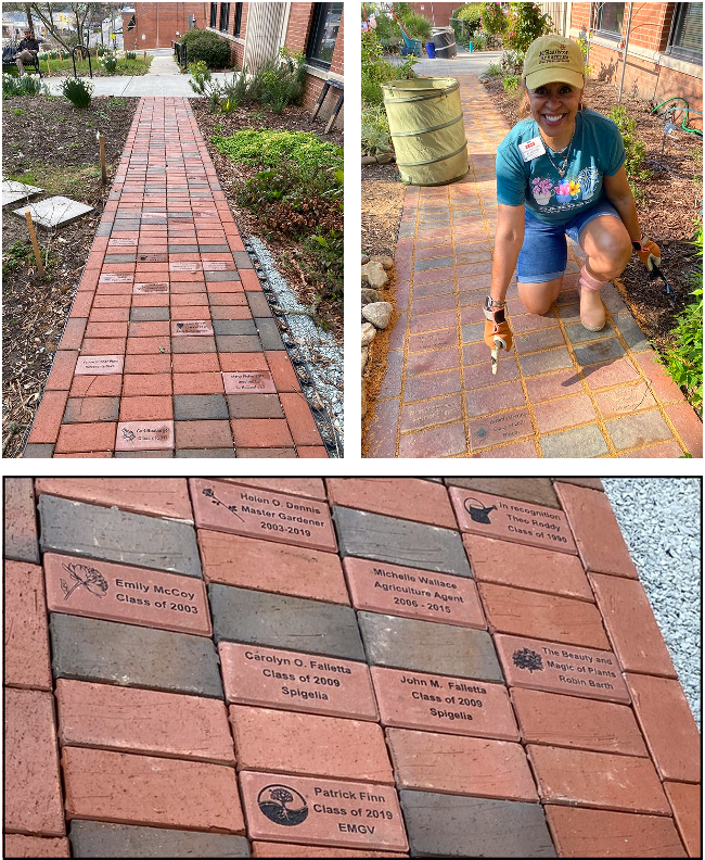 recognition sidewalk pictures