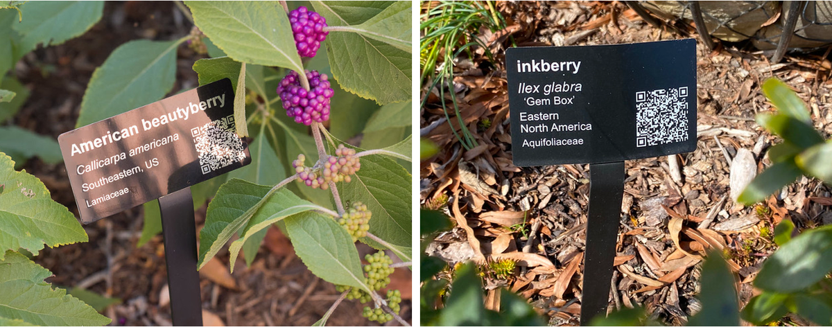 plant ID signs with QR codes
