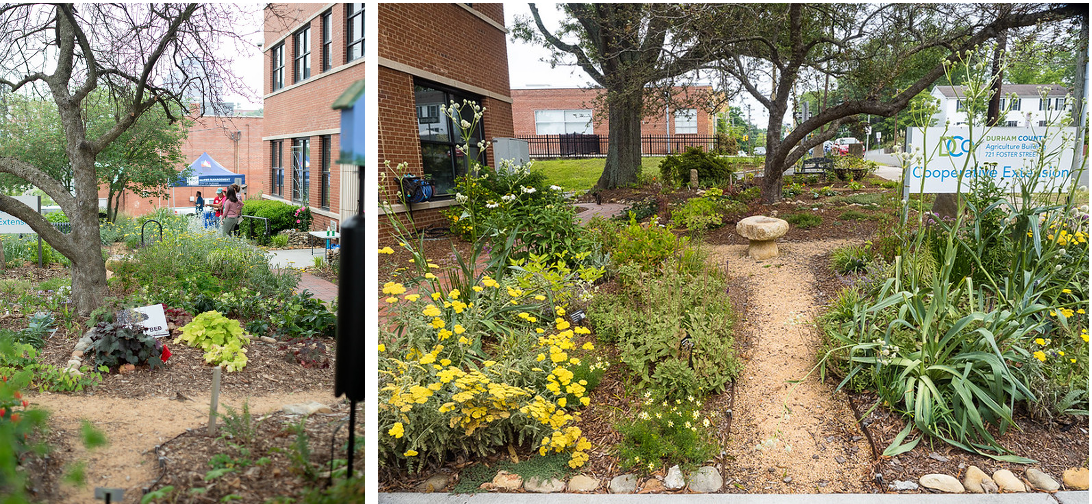 walkways through the demo garden