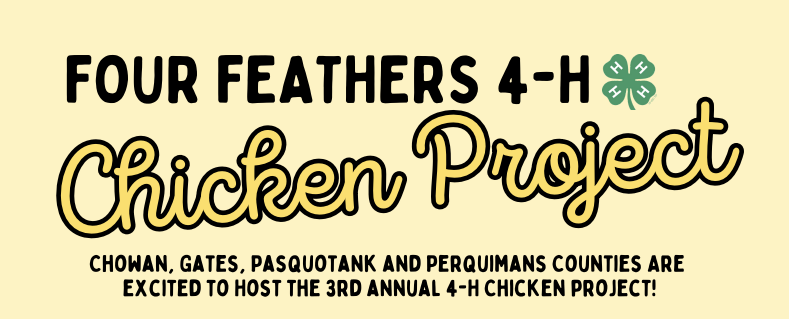 Text reading: "Four Feathers 4-H Chicken Project." Below, it mentions Chowan, Gates, Pasquotank, and Perquimans counties hosting the 3rd annual 4-H Chicken Project.