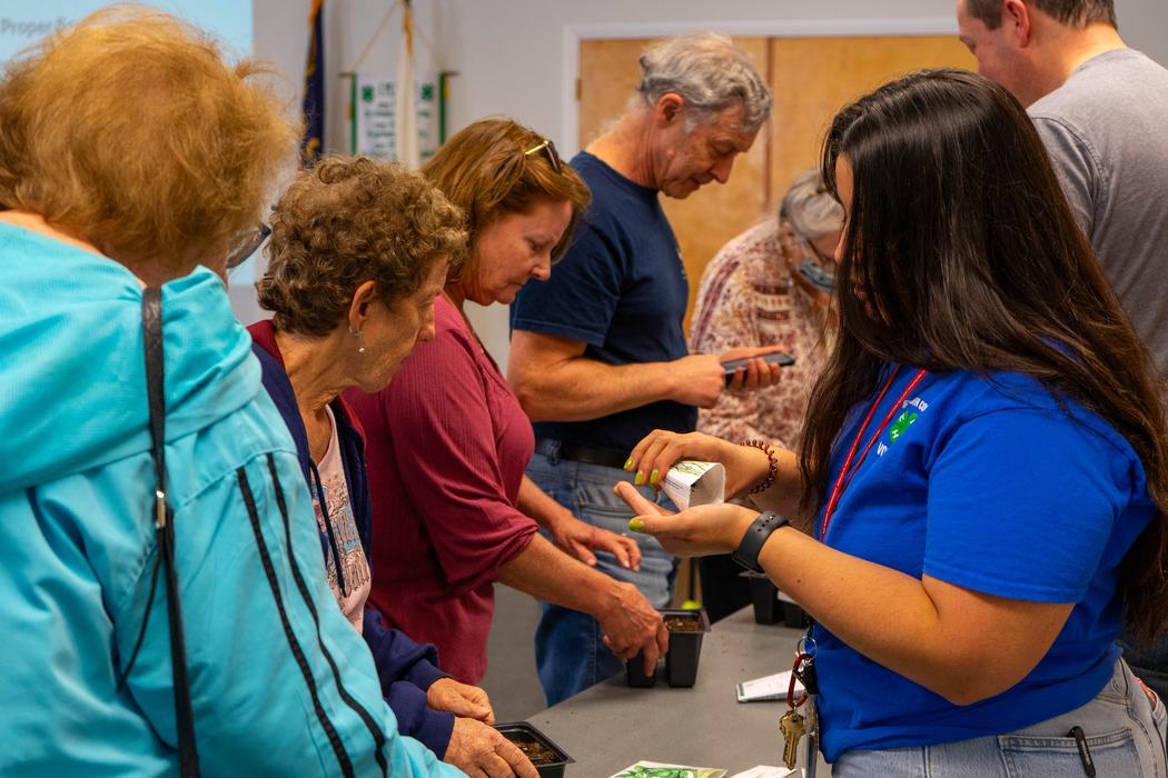 Participants selecting seeds