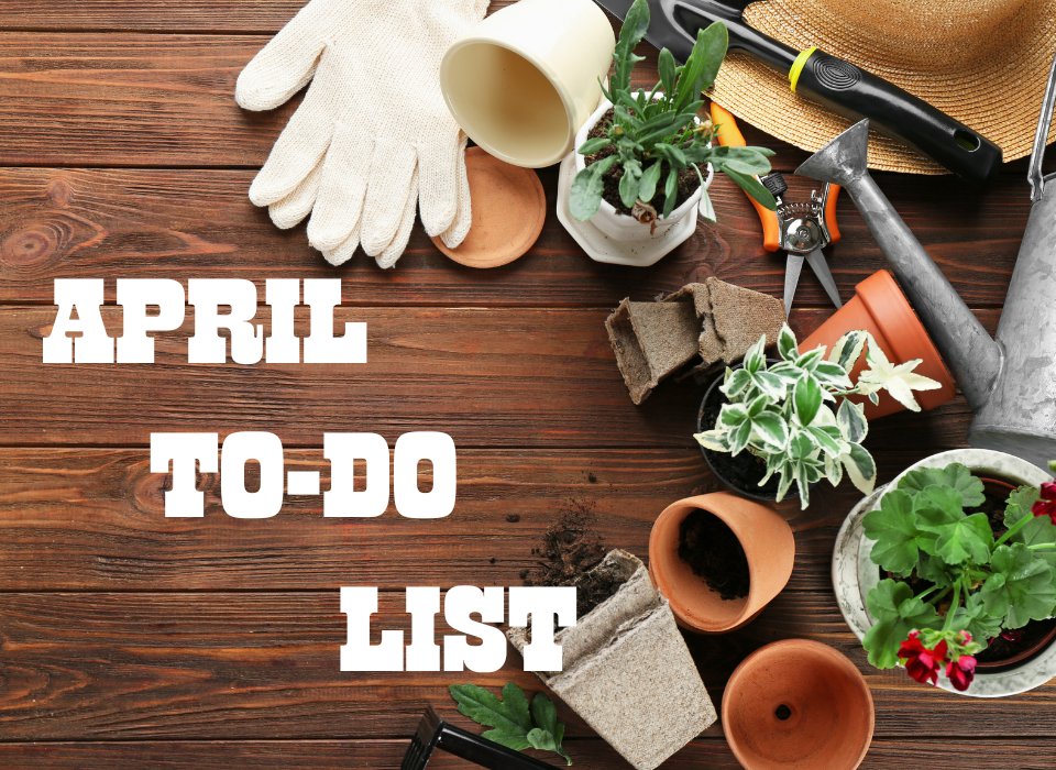 April To do list