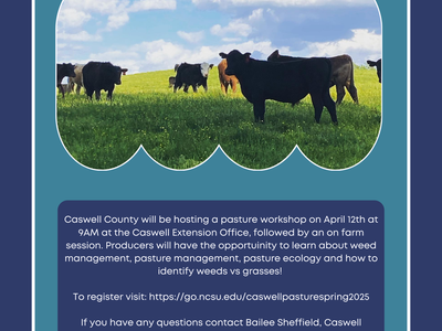 Caswell County Spring Pasture Workshop — April 12th, 2025; cows grazing; NC Cooperative Extension contact