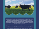 Caswell County Spring Pasture Workshop — April 12th, 2025; cows grazing; NC Cooperative Extension contact