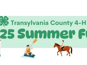 Transylvania County 4-H 2025 Summer Fun banner; kids climbing, kayaking, horseback riding, sheep