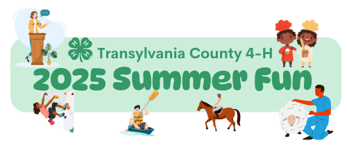 Picture of transylvania county summer fun 2025 logo with various children doing summer camp activities like cooking rock climbing and horseback riding