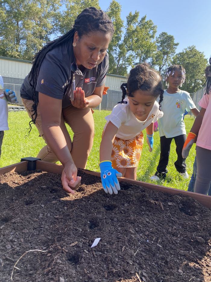 Children plant seeds in a garden bed.
