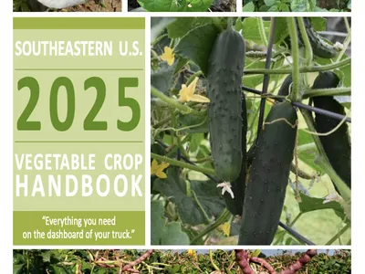 Southeastern U.S. 2025 Vegetable Crop Handbook cover showing cucumbers and beans