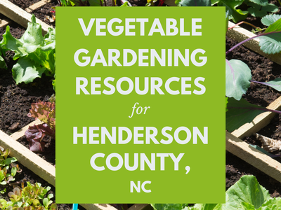 Vegetable Gardening Resources for Henderson County