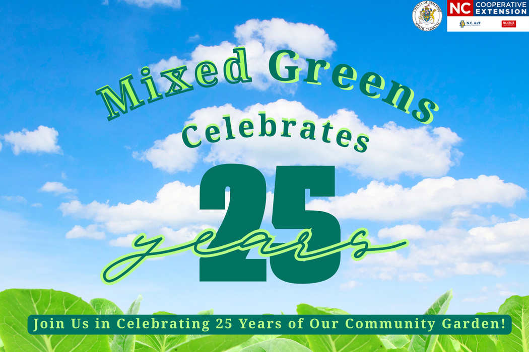 "Mixed Greens Celebrates 25 Years" in Green text with a blue sky with clouds in the background with greens plants at the bottom of the graphic