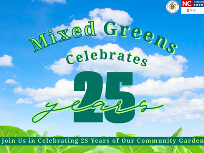 "Mixed Greens Celebrates 25 Years" in Green text with a blue sky with clouds in the background with greens plants at the bottom of the graphic