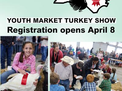 YMTS registation open