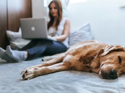 A woman works remotely on her laptop from the comfort of her own bedroom with her dog laying beside her.