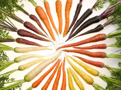 carrots_by_Stephen_A_lPm5MjyVQ1v2