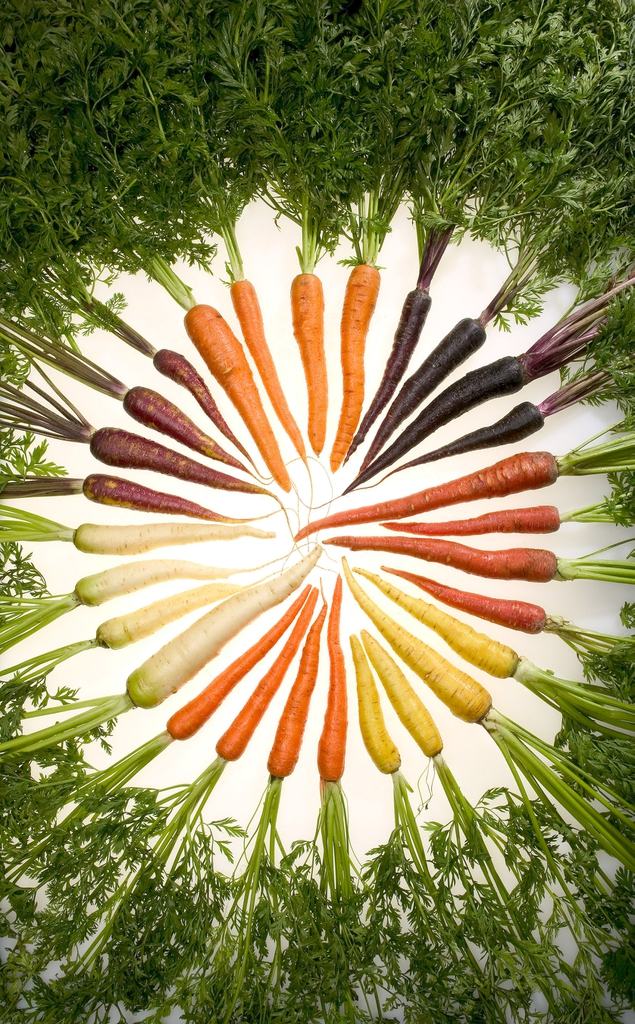carrots_by_Stephen_A_lPm5MjyVQ1v2